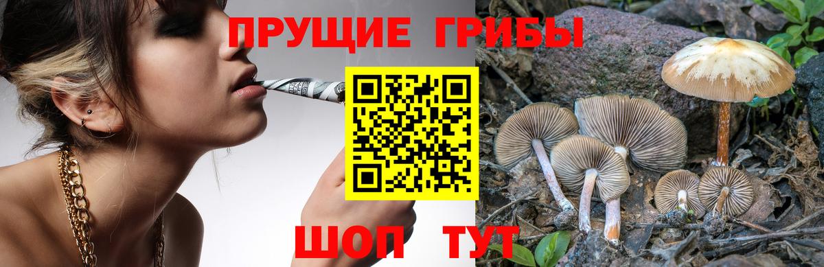 Березники  Псилоцибиновые грибы Magic Shrooms  Вход с VPN 